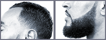 sponsor-image